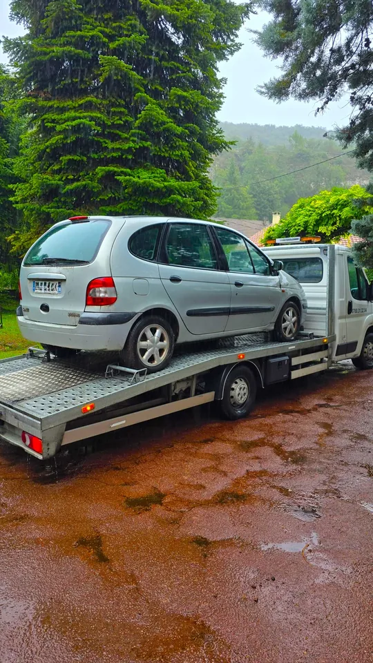 Voiture claire sur un camion plateau stationné sur un terrain humide et arboré.
